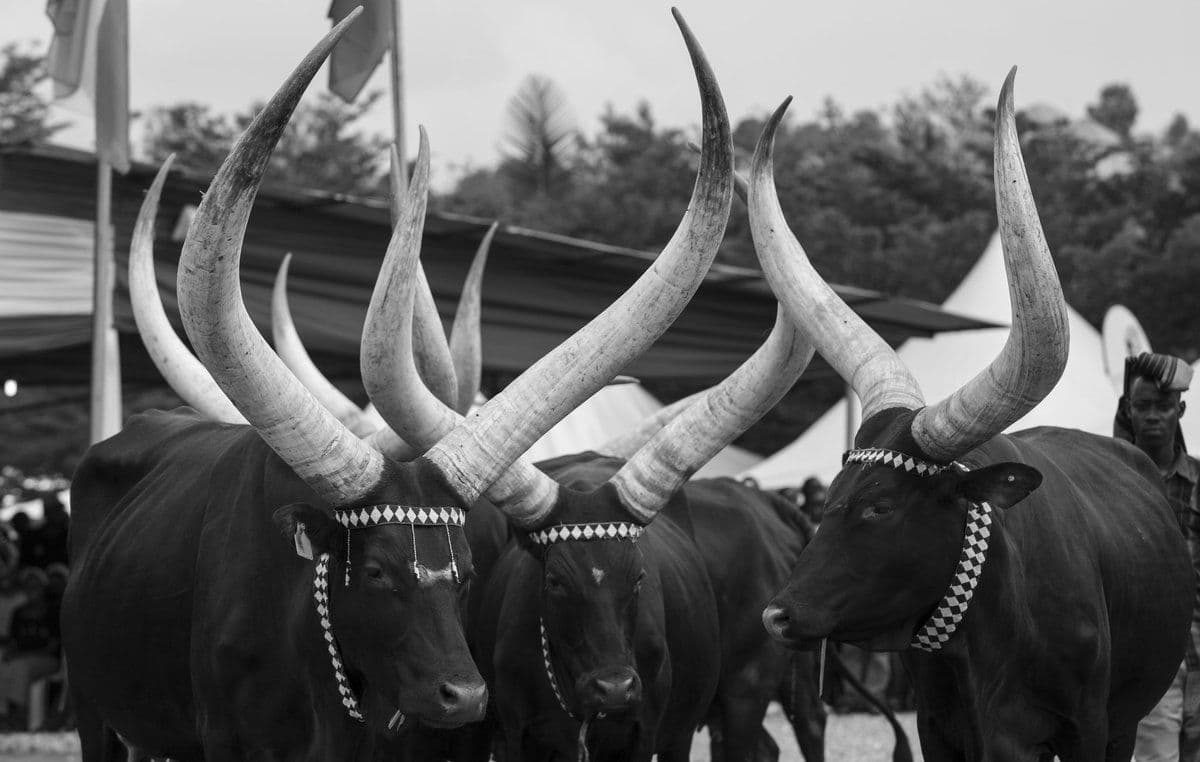 Rwandan Artisans Community
